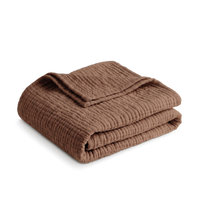 Terracotta